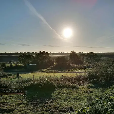 Stag's View * Ballina (Mayo)