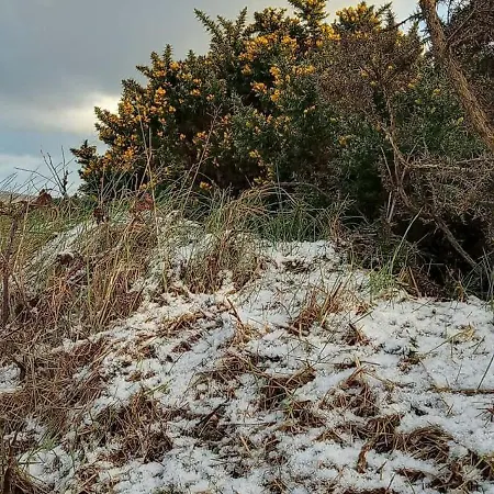 Stag's View * 巴利纳