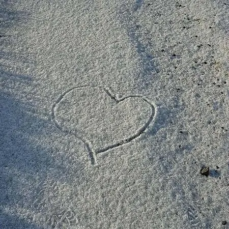 木屋 Stag's View *