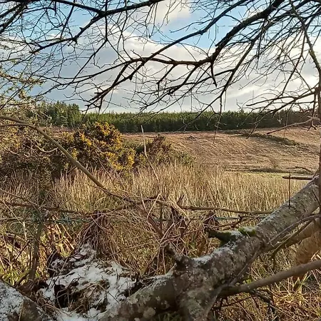Stag's View 木屋 巴利纳
