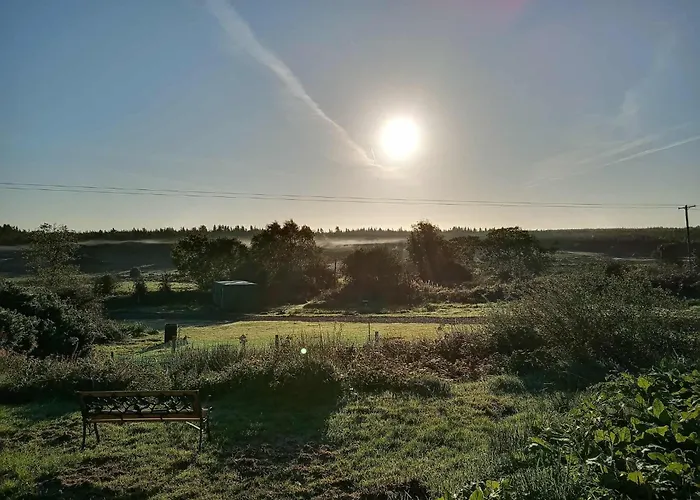 Stag's View * Баллина