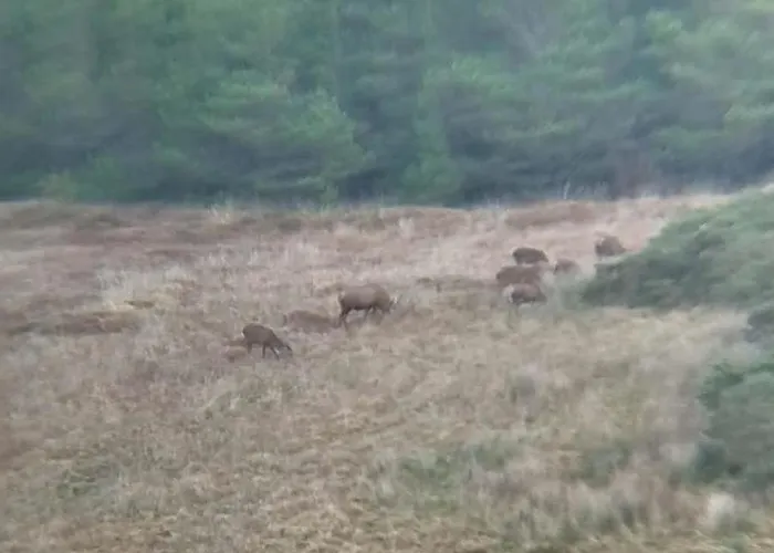 Stag's View Σαλέ Ballina (Mayo)