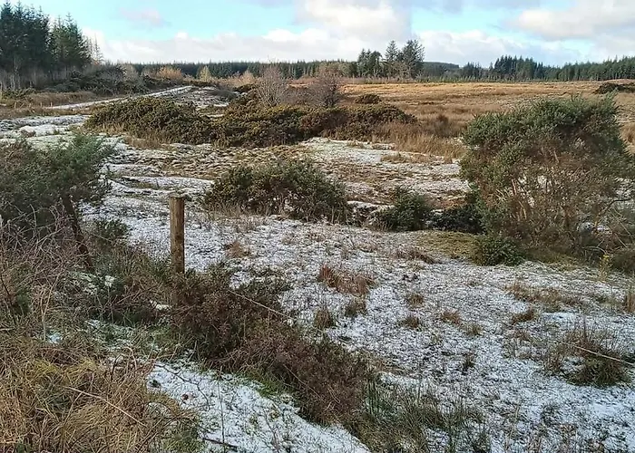 Шале Stag's View