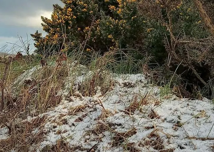 Stag's View * Баллина