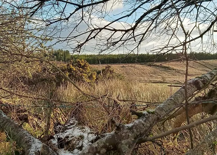 Stag's View Шале Баллина