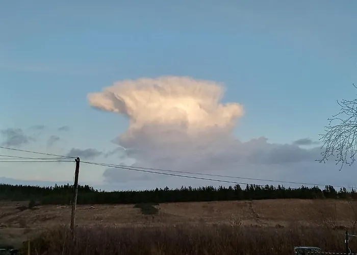 Stag's View Баллина